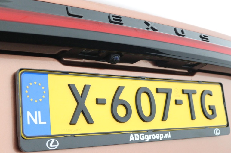 Lexus RX - 450h+ Plug-in Hybrid President Line 45