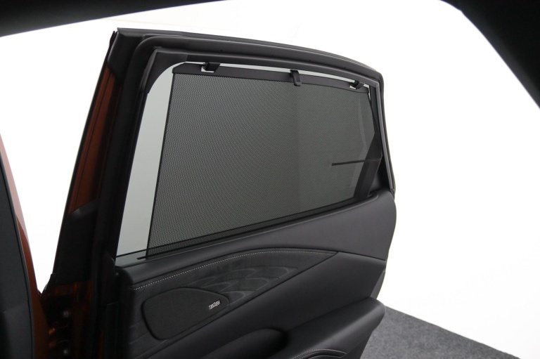 Lexus RX - 450h+ Plug-in Hybrid President Line 59