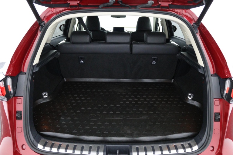 Lexus NX - 300h AWD President Line 23