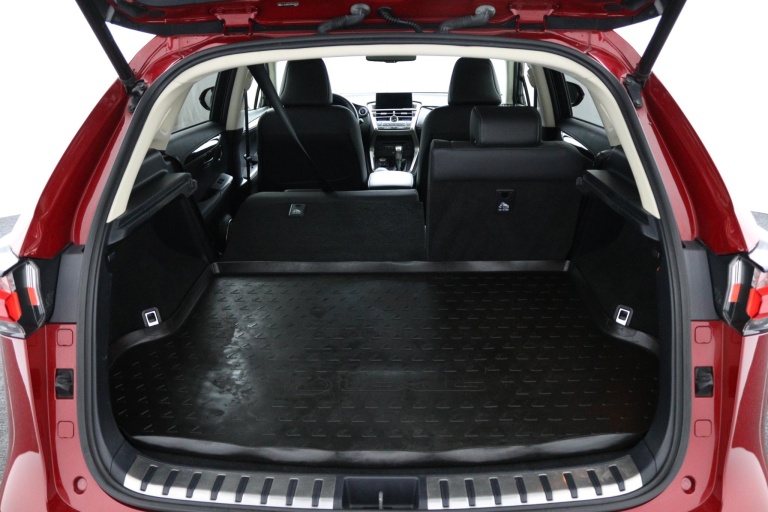 Lexus NX - 300h AWD President Line 24