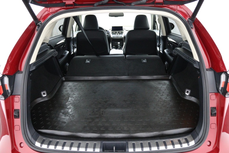 Lexus NX - 300h AWD President Line 25