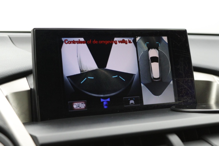 Lexus NX - 300h AWD President Line 55