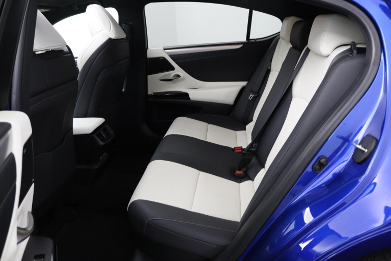 Lexus ES - 300h F Sport Line 18