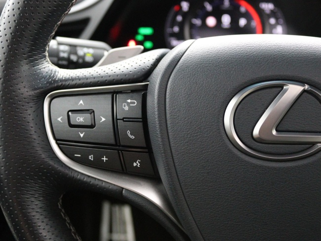 Lexus ES - 300h F Sport Line