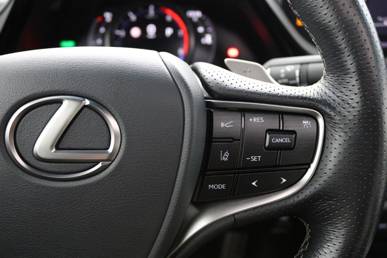 Lexus ES - 300h F Sport Line 21