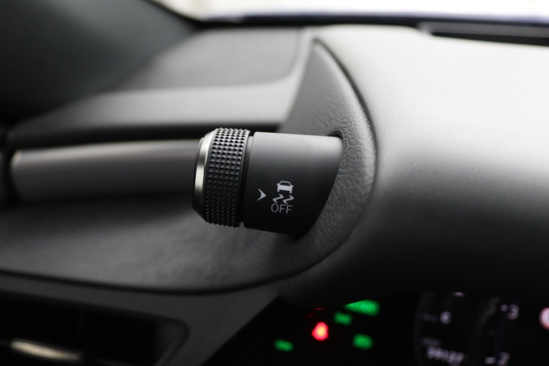 Lexus ES - 300h F Sport Line 43