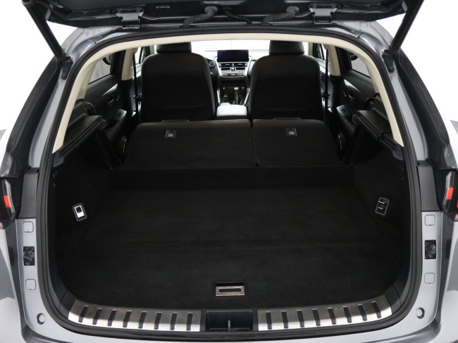 Lexus NX - 300h AWD Luxury Line