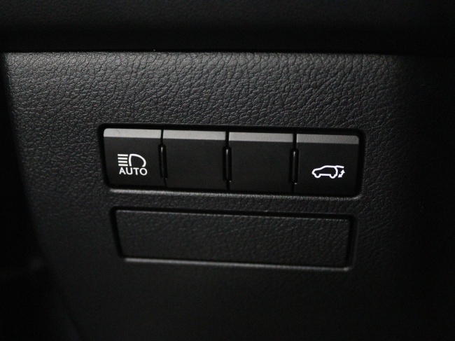 Lexus NX - 300h AWD Luxury Line