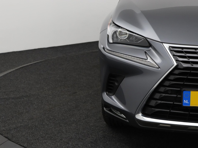 Lexus NX - 300h AWD Luxury Line