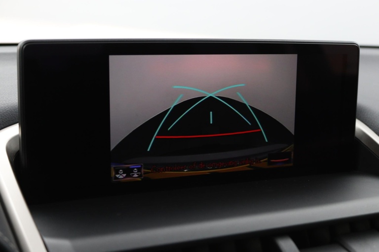 Lexus NX - 300h AWD Luxury Line 8