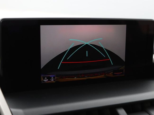 Lexus NX - 300h AWD Luxury Line