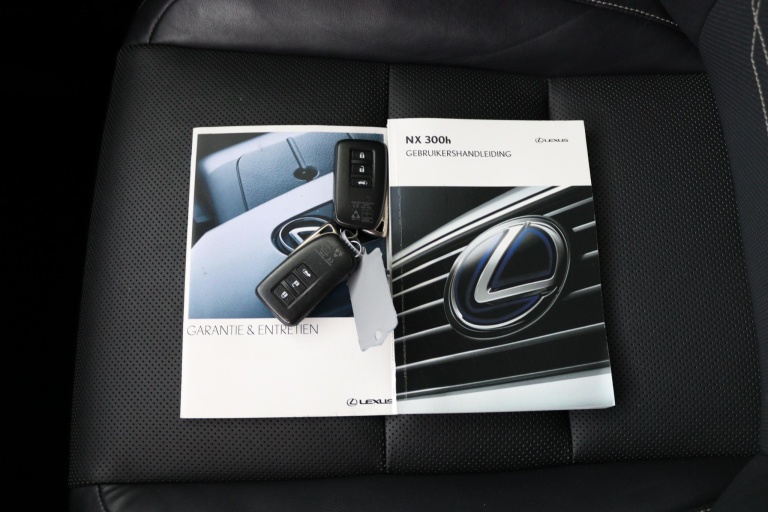 Lexus NX - 300h AWD Luxury Line 9