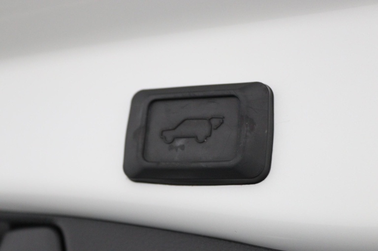 Toyota RAV4 - 2.5 Hybrid Bi-Tone 38