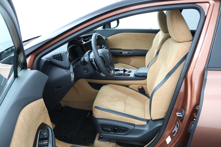 Lexus RZ - 450e President Line 71 kWh 16