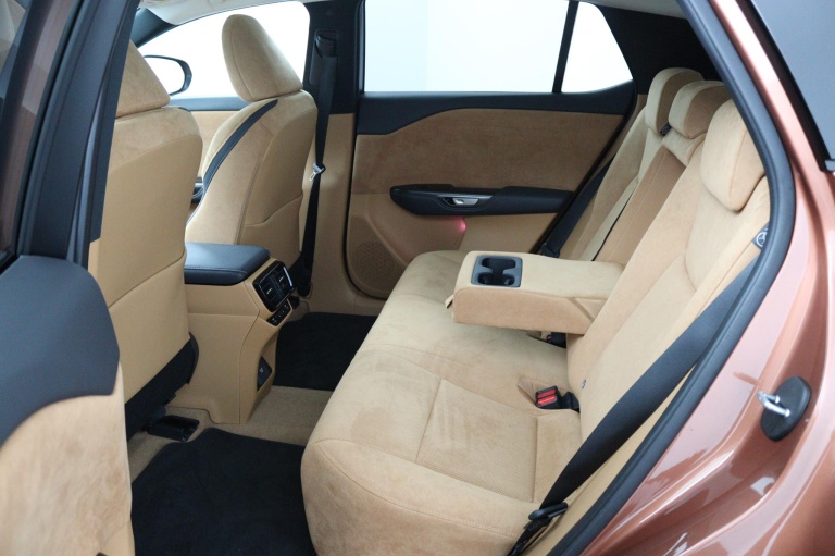 Lexus RZ - 450e President Line 71 kWh 17