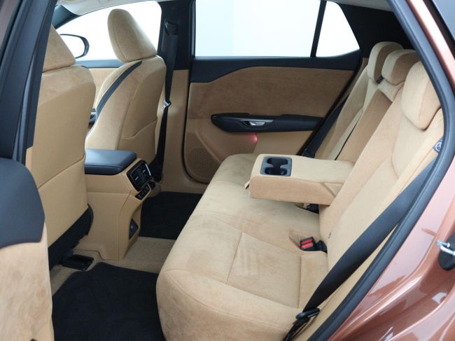 Lexus RZ - 450e President Line 71 kWh