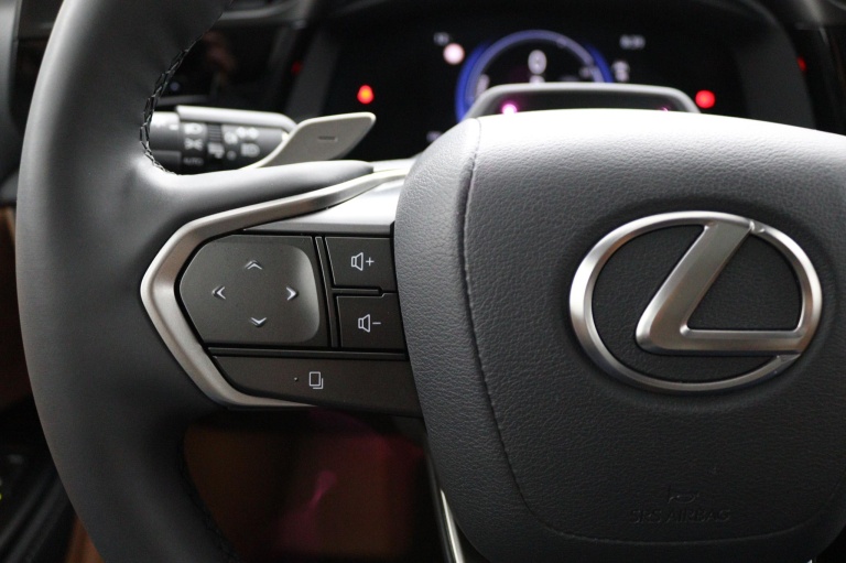 Lexus RZ - 450e President Line 71 kWh 18