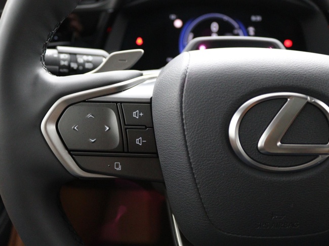 Lexus RZ - 450e President Line 71 kWh