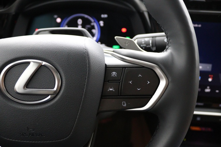 Lexus RZ - 450e President Line 71 kWh 19