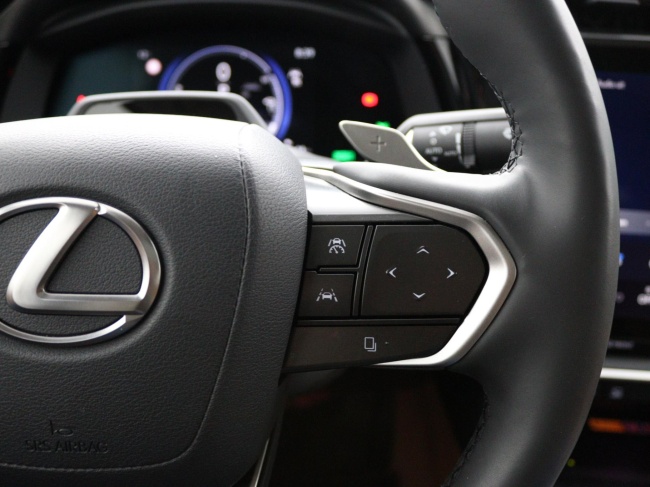 Lexus RZ - 450e President Line 71 kWh