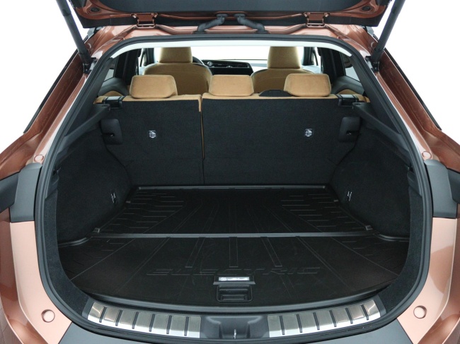 Lexus RZ - 450e President Line 71 kWh