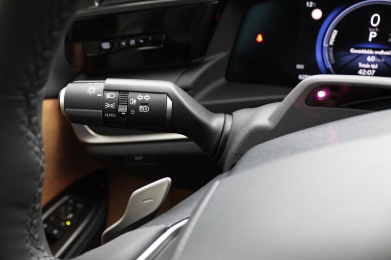 Lexus RZ - 450e President Line 71 kWh 31