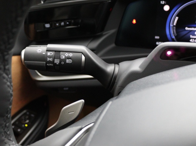 Lexus RZ - 450e President Line 71 kWh