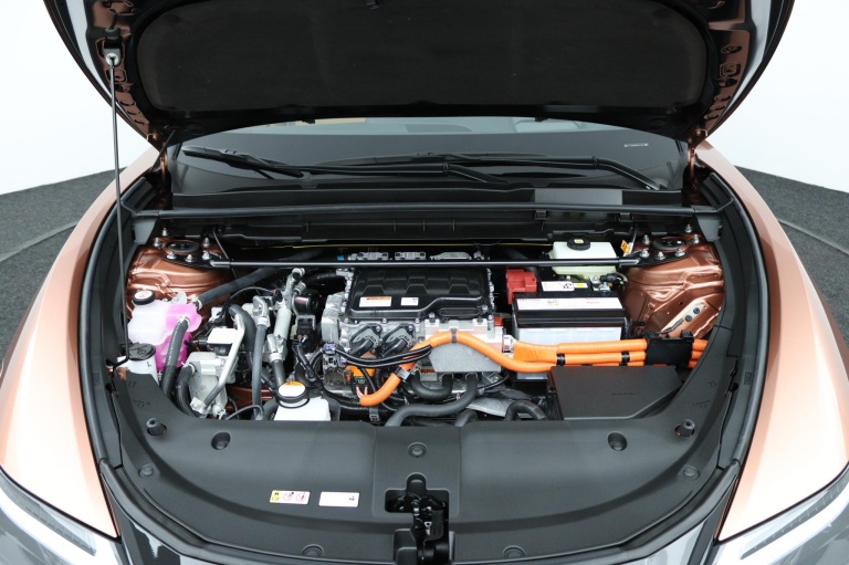 Lexus RZ - 450e President Line 71 kWh 35