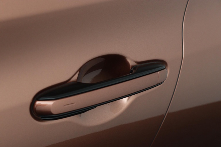 Lexus RZ - 450e President Line 71 kWh 37