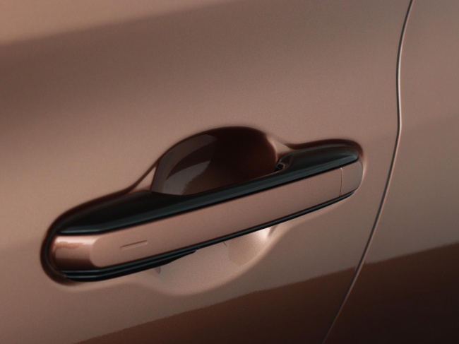 Lexus RZ - 450e President Line 71 kWh