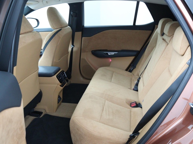 Lexus RZ - 450e President Line 71 kWh