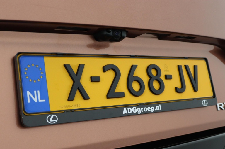 Lexus RZ - 450e President Line 71 kWh 42