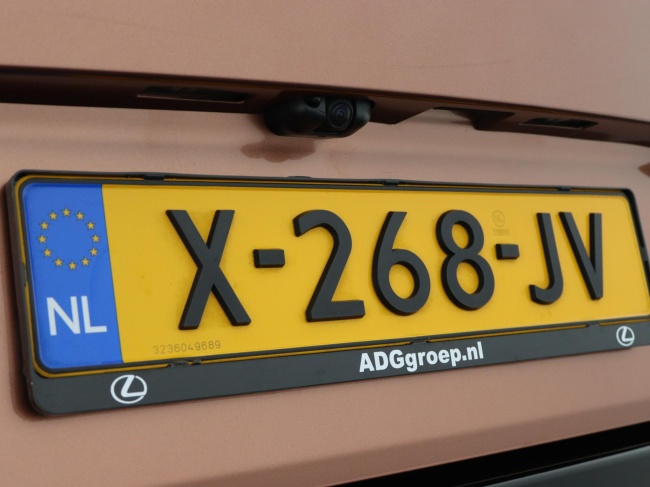 Lexus RZ - 450e President Line 71 kWh