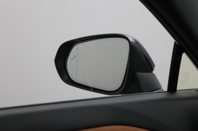 Lexus RZ - 450e President Line 71 kWh 52