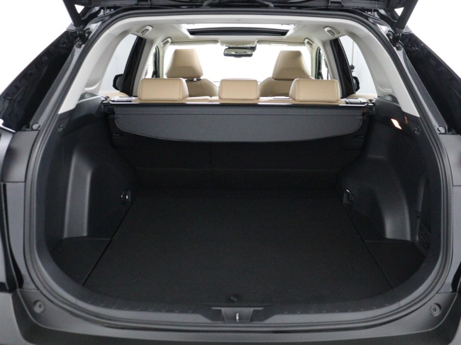 Toyota RAV4 - 2.5 Hybrid AWD Executive