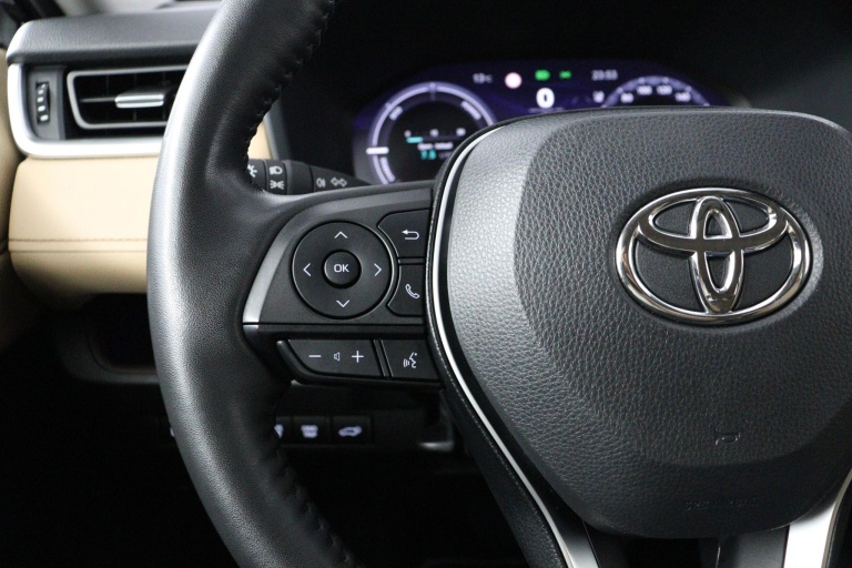 Toyota RAV4 - 2.5 Hybrid AWD Executive 19