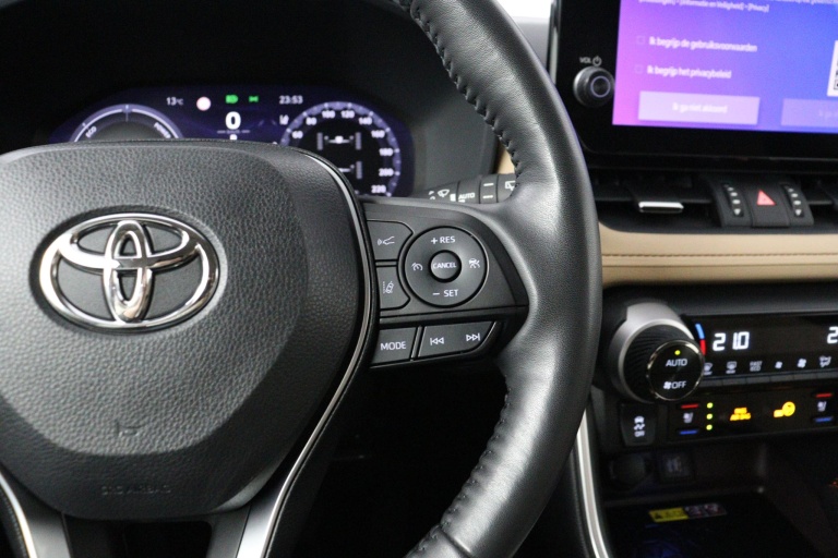 Toyota RAV4 - 2.5 Hybrid AWD Executive 21