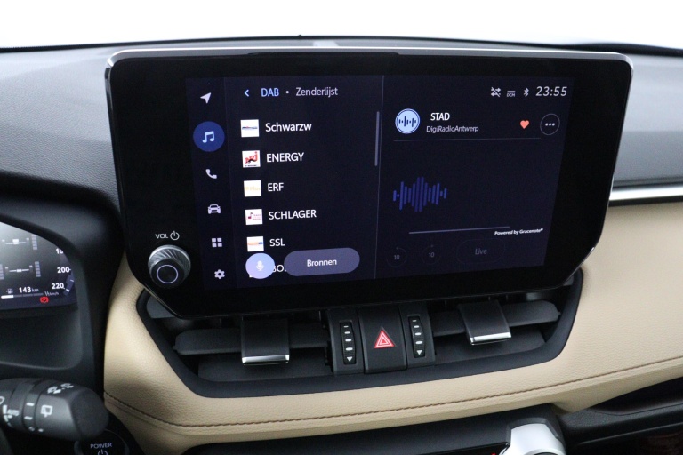 Toyota RAV4 - 2.5 Hybrid AWD Executive 9