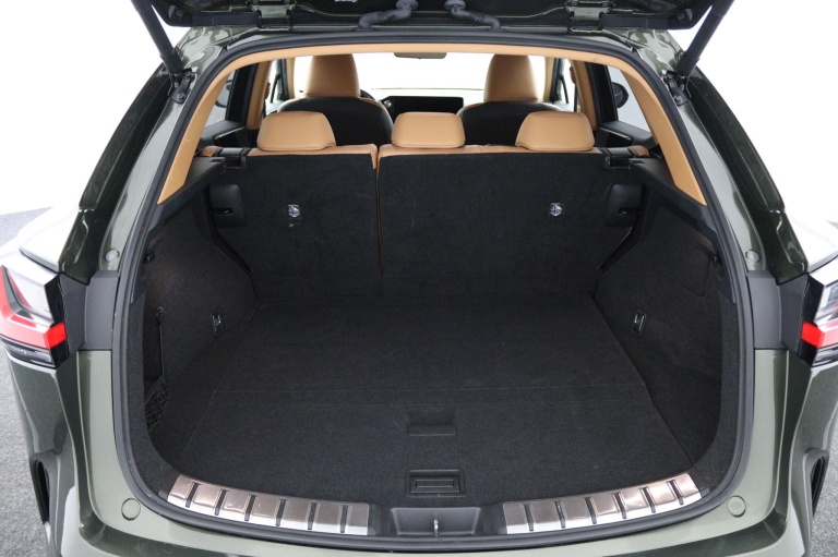 Lexus NX - 450h+ AWD Launch Edition 22