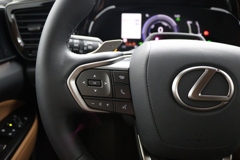 Lexus NX - 450h+ AWD 35th Edition 17