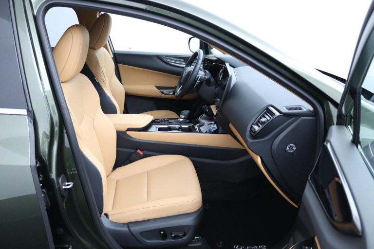 Lexus NX - 450h+ AWD 35th Edition 19