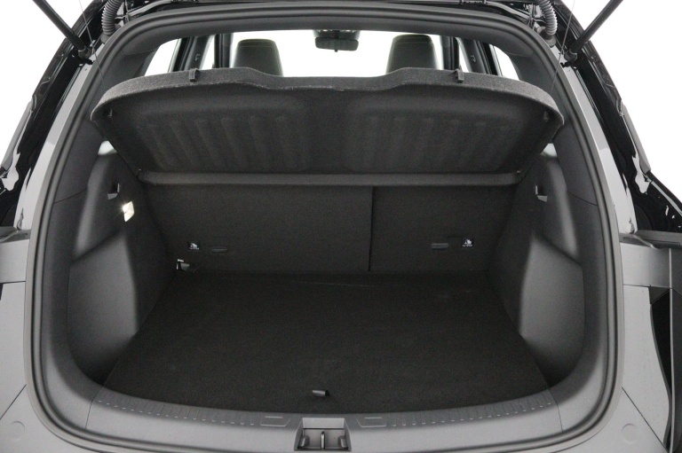 BYD ATTO 2 DM-i - Boost 17