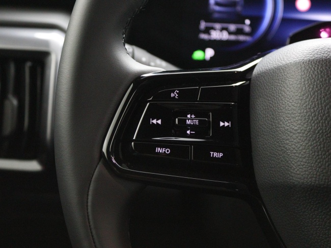 Toyota Urban Cruiser - Active 49 kWh