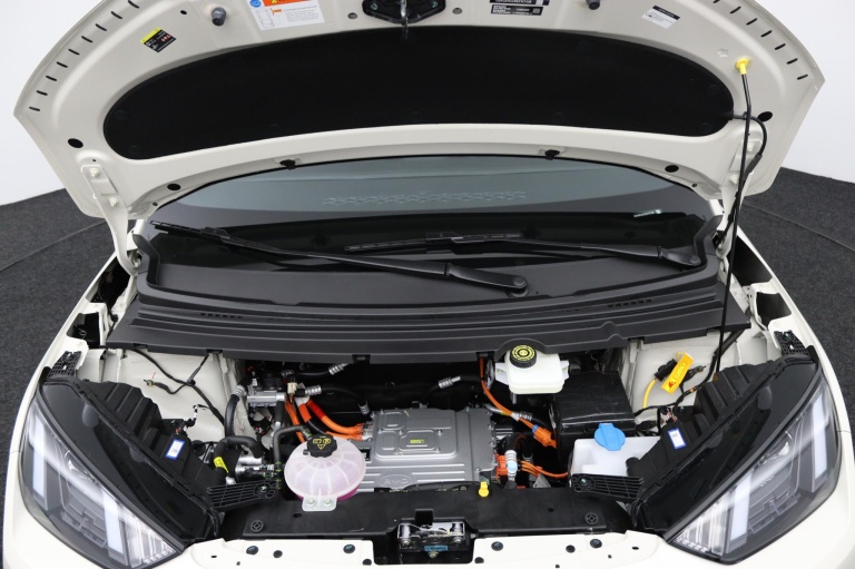 BYD DOLPHIN SURF - Boost 43 kWh 28