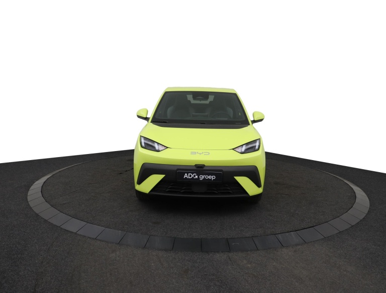 BYD DOLPHIN SURF - Comfort 43 kWh 12