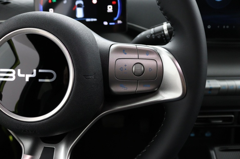 BYD DOLPHIN SURF - Comfort 43 kWh 16