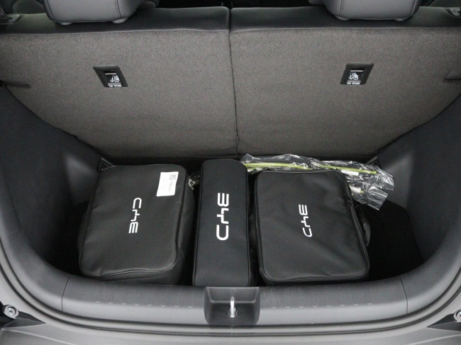 BYD DOLPHIN SURF - Boost 43 kWh