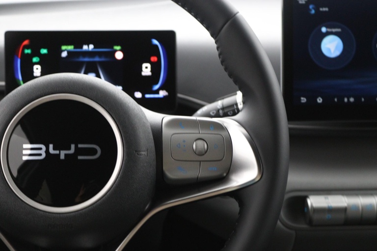 BYD DOLPHIN SURF - Boost 43 kWh 18