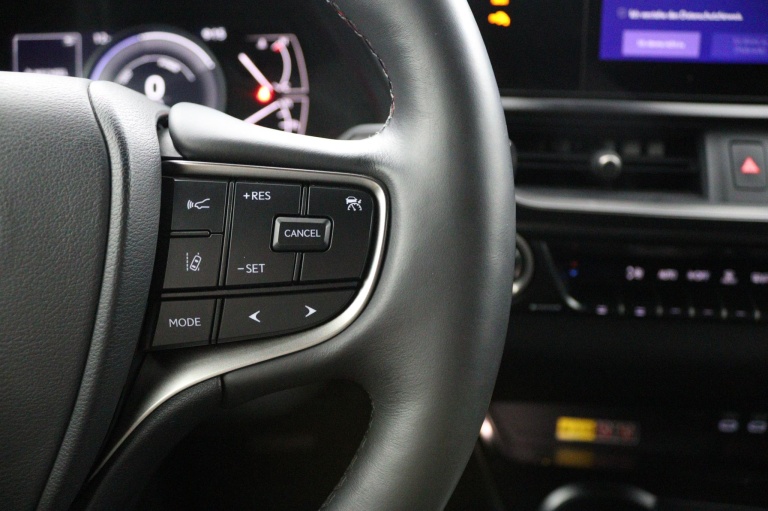 Lexus UX - 250h Business Line 21