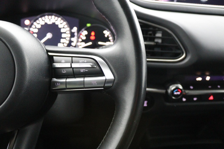 Mazda CX-30 - 2.0 e-SkyActiv-X M Hybrid Homura 11